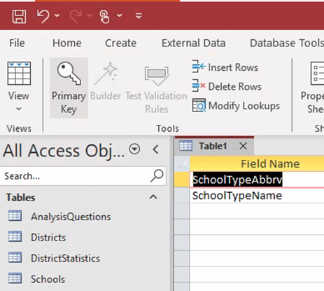 In Table Design View of the new table, the field names are SchoolTypeAbbrv and SchoolTypeName