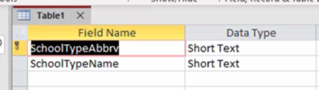 In the column directly to the left of the field name of SchoolTypeAbbrv is a skeleton key showing you this is the primary key for this table.